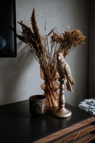 Apartamento Duinstraatje 15
