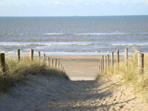 B&B Mol