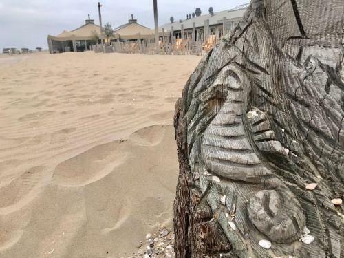 Hostal Hippocampus Aan Zee
