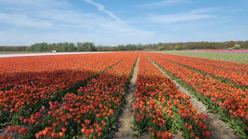 Apartamento Tussen Strand En Duin
