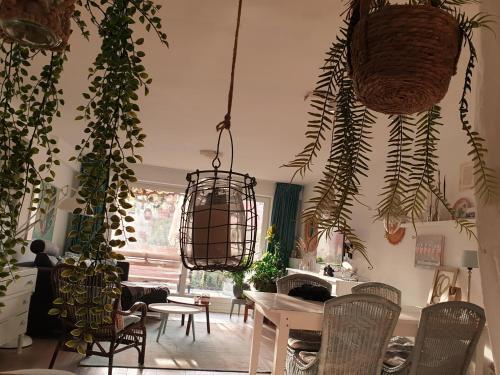 Apartamento Beachhouse Engelbert Studios