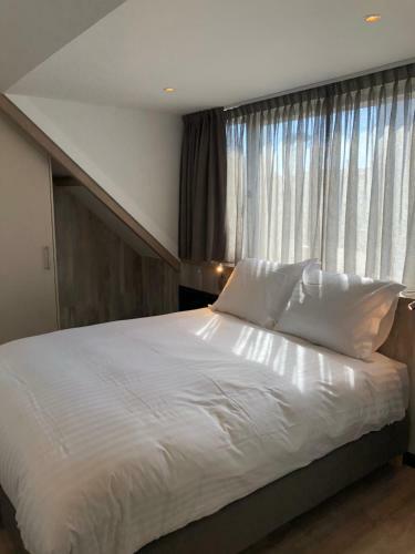 Apartamento Casa Del Cisne 2