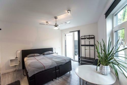 Apartamento Amsterdam Beach Zandvoort Studio S
