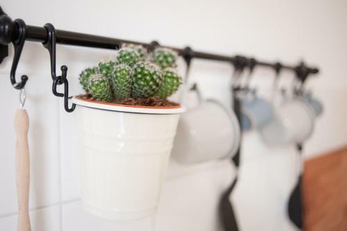 Apartamento Achter De Duinen