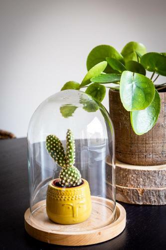 Apartamento Studio Puuur