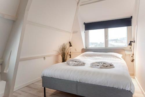 Shell Square Apartment