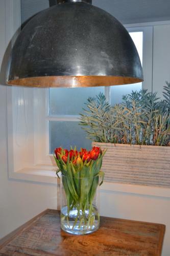 Apartamento Studio/appartment Evi