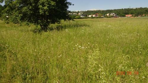 Holiday Home Albystrand 9