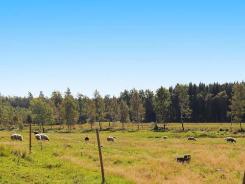 Holiday Home �rkelljunga VI
