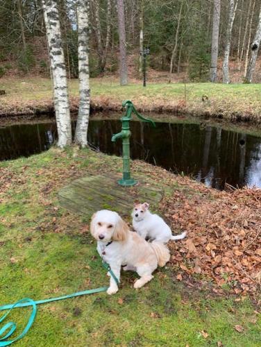Sigridstorp �sljunga