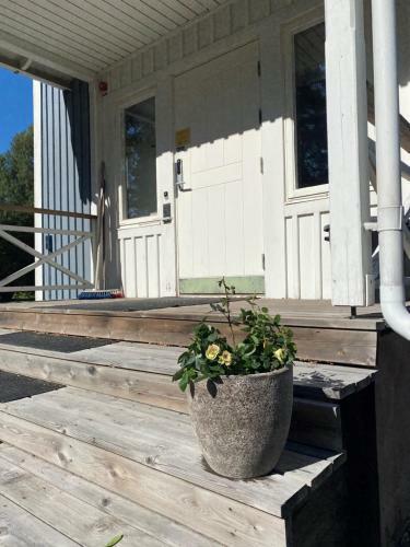 Albergue Vandrarhemmet H�rneborg