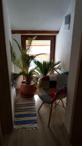 Hostal Otto's Guesthouse