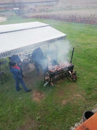 Dara's Camping