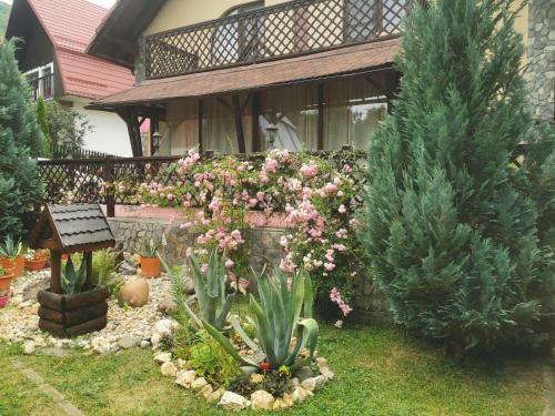 Villa Casa Veveritelor