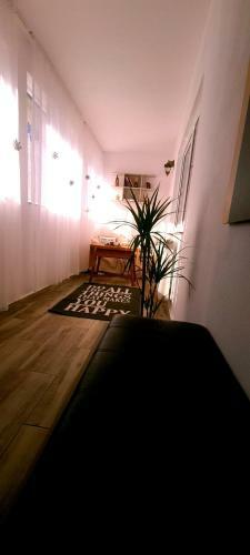 Cozy House Z?rne?ti