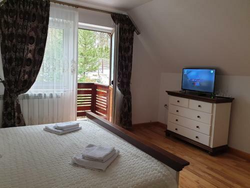 Villa Pensiunea Putnisoara