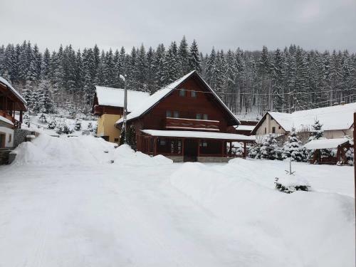 Villa Pensiunea Putnisoara