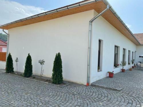 Hostal Pensiunea Bazaltkert