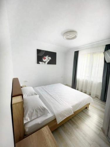Hostal Pensiunea K9