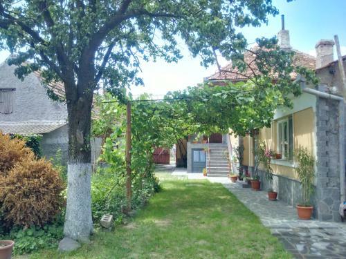 Agroturismo Casa Anna Racos