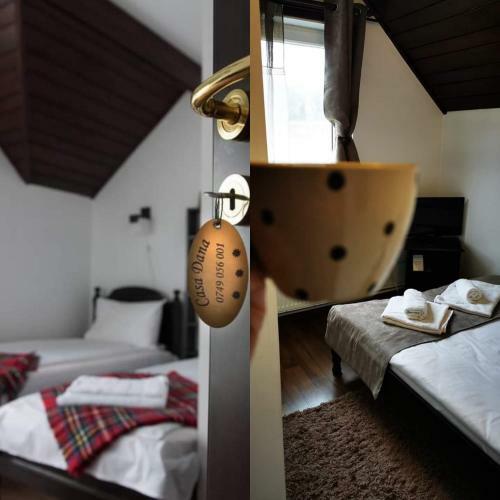 Hostal Casa Dana Putna Bucovina