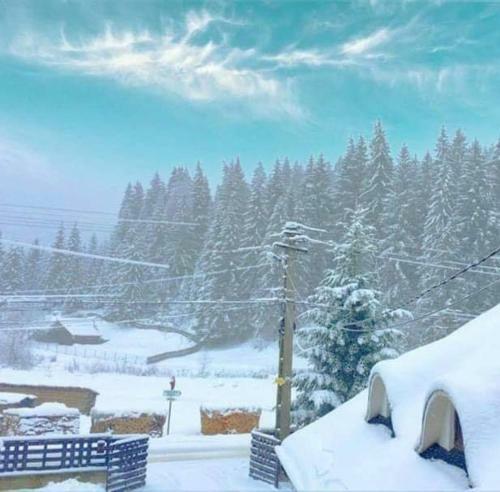 Hostal Casa Dana Putna Bucovina