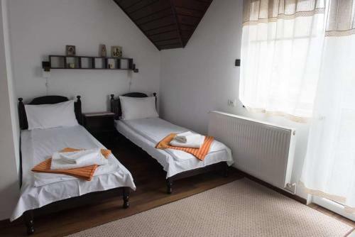 Hostal Casa Dana Putna Bucovina