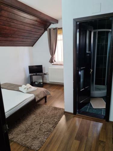 Hostal Casa Dana Putna Bucovina