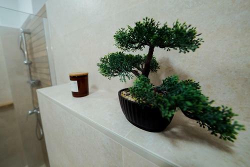 Bed & Breakfast Nagy-homor�d �tterem �s Panzi�