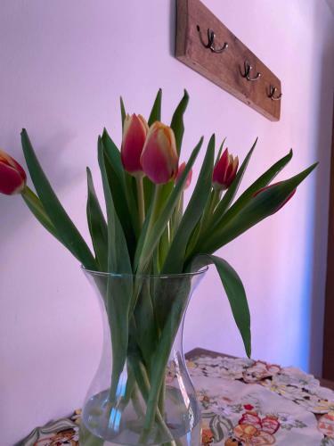 Bed & Breakfast Nagy-homor�d �tterem �s Panzi�