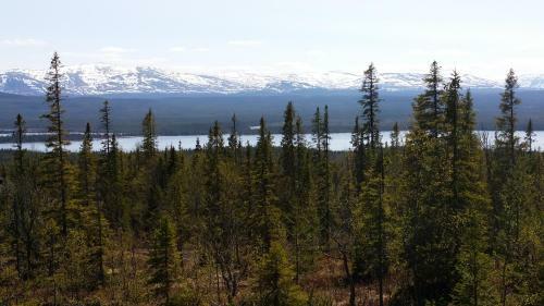 Mountain View Ottsjo