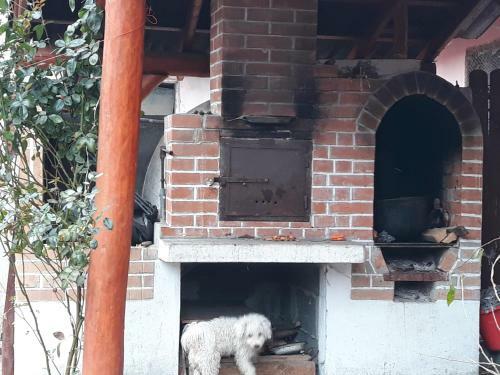 Bed & Breakfast Margit Kulcsosh�z