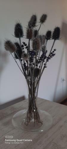 New Grey Apartament