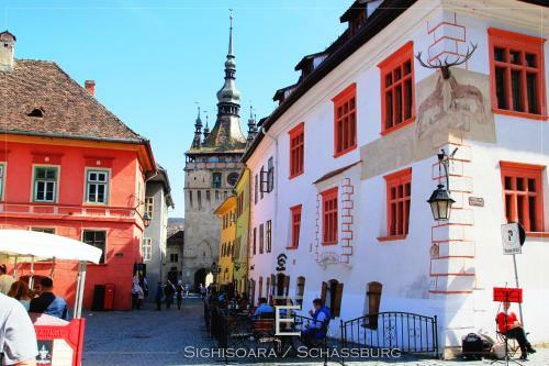 Apartamento Transylvania Escape