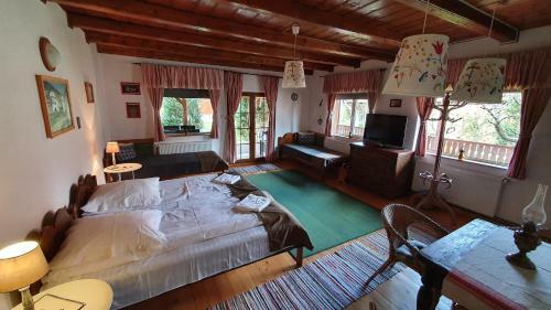 Lodge Pensiunea Aranyos