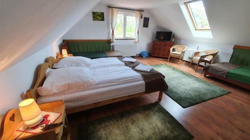 Lodge Pensiunea Aranyos