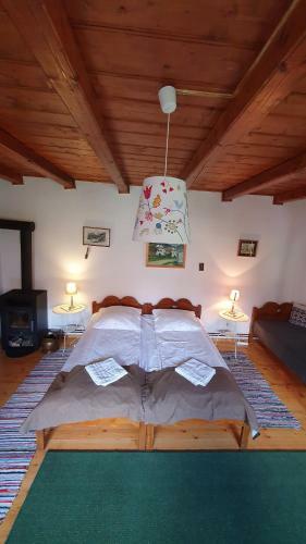 Lodge Pensiunea Aranyos