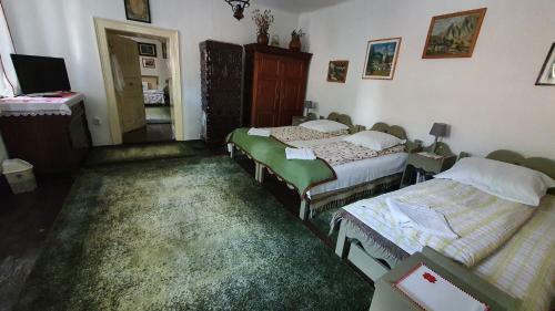 Lodge Pensiunea Aranyos