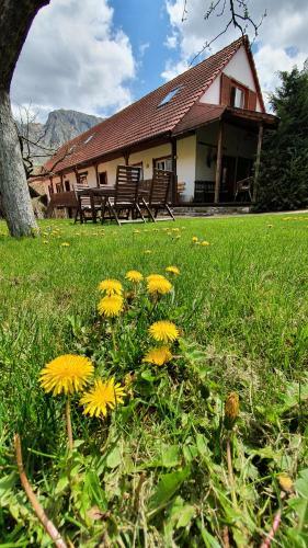 Lodge Pensiunea Aranyos