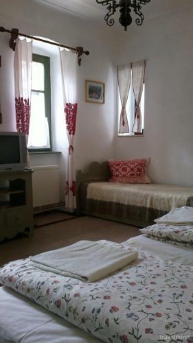 Lodge Pensiunea Aranyos