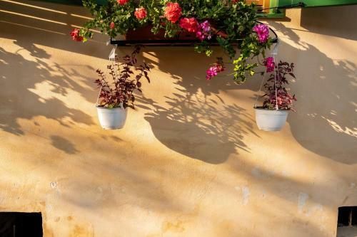 Hostal Villa Rihuini Authentic Saxon House