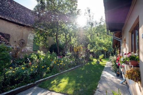 Hostal Villa Rihuini Authentic Saxon House