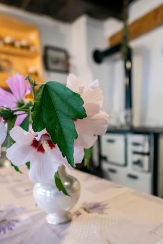 Hostal Villa Rihuini Authentic Saxon House
