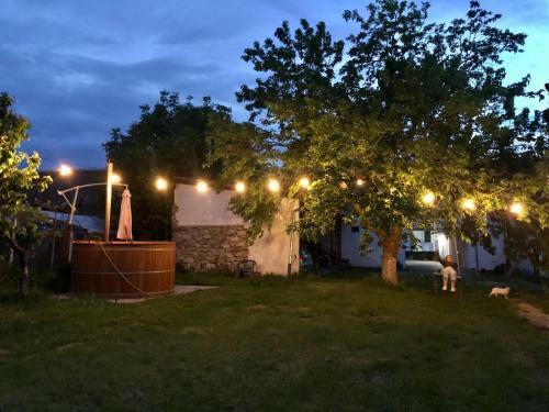 Hostal Casa Badea
