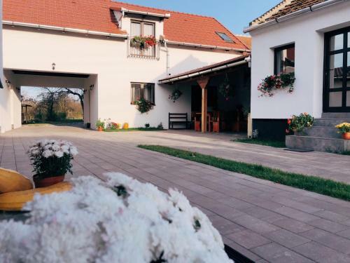 Hostal Casa Badea