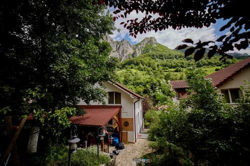 Villa Relax In Transylvania At Ramet Mansion - Alba