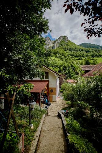 Villa Relax In Transylvania At Ramet Mansion - Alba
