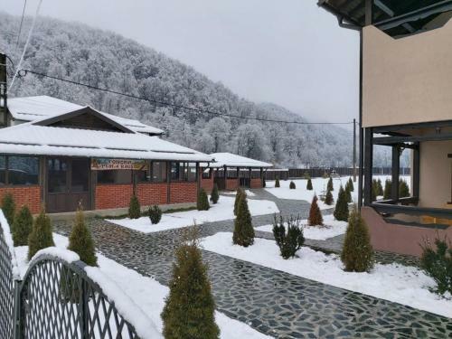 Hostal Pensiunea Perla R�u?or