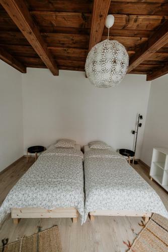 Bed & Breakfast Casa Bot�r Vend�gh�z