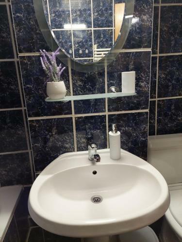 Apartament Regim Hotelier Re?i?a